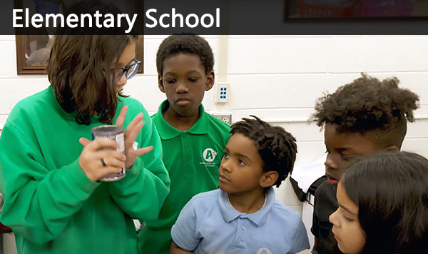 Elementary School